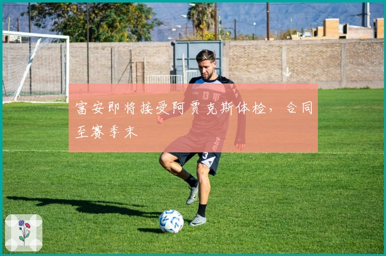 富安即将接受阿贾克斯体检，合同至赛季末