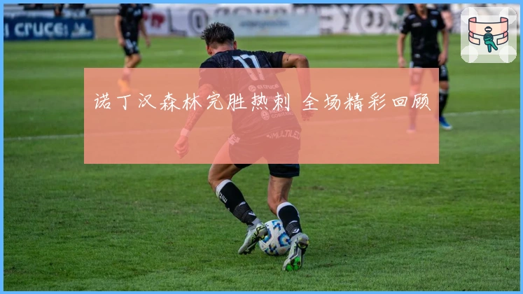 诺丁汉森林完胜热刺 全场精彩回顾