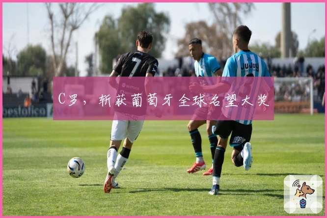 C罗，斩获葡萄牙全球名望大奖