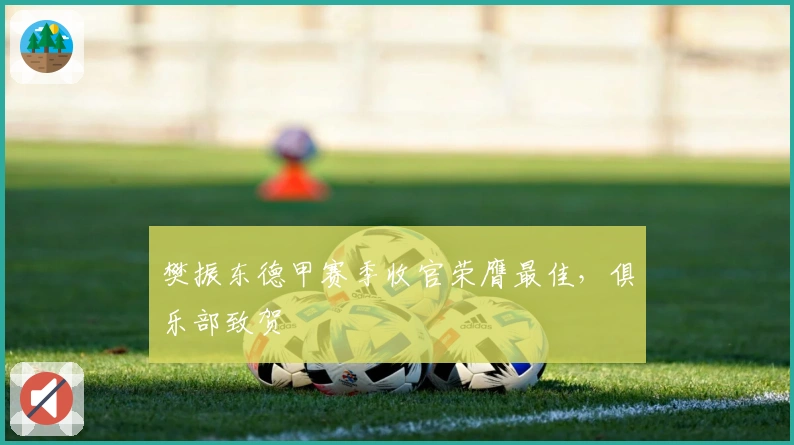 樊振东德甲赛季收官荣膺最佳，俱乐部致贺